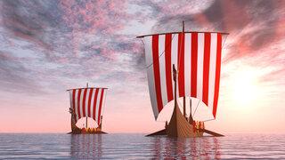 Learn about Vikings: Who Were They? in Vikings for Kids